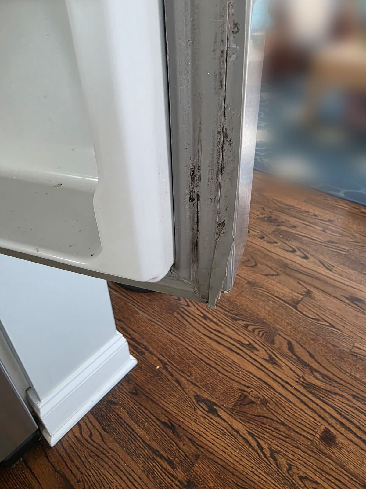 Torn refrigerator door gasket with mold buildup along the seal